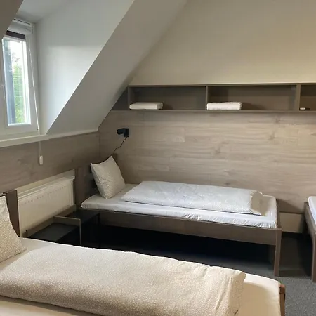 Pensión Szürke Juhar 4*