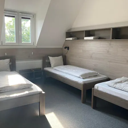 Pensjonat Szuerke Juhar Vendeghaz 4*